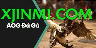 Trường Đấu Đá Gà Chuyên Nghiệp