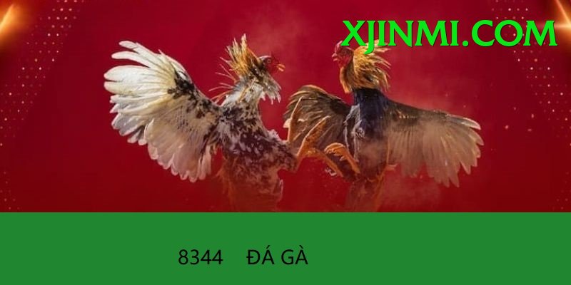 Cách Đọc Kèo Đá Gà